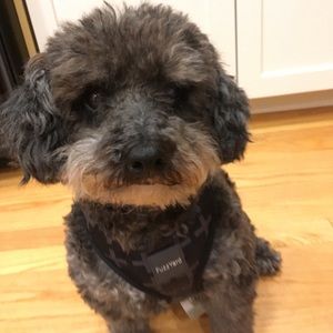 Meet your Posher, Nina